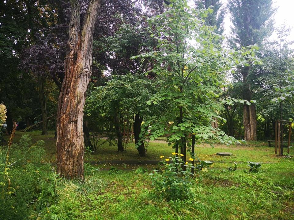 Apartament Wroblewski Apartment Gdansk Bagian luar foto